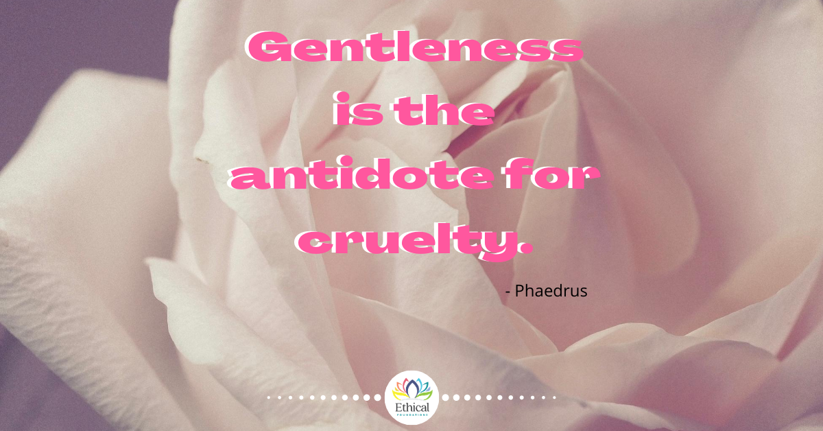 Quote about Gentleness